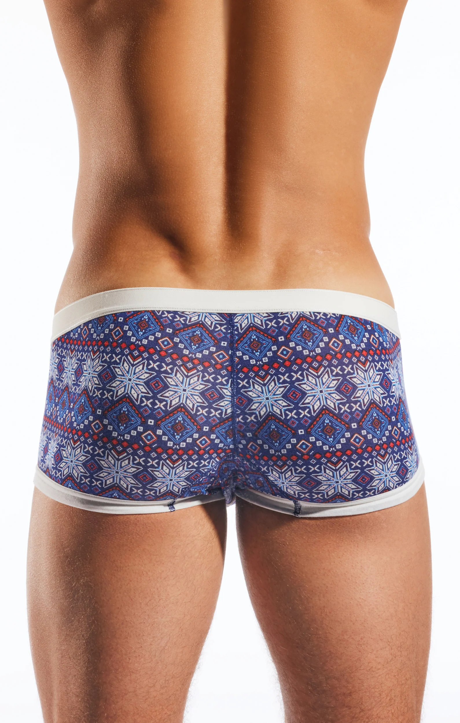 CX68MD Modal Trunk - Image 4
